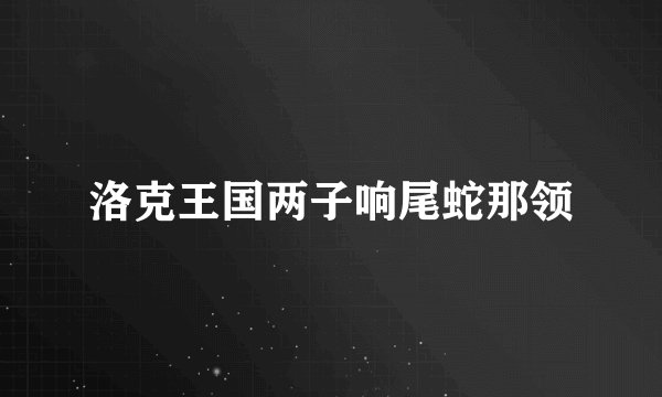 洛克王国两子响尾蛇那领