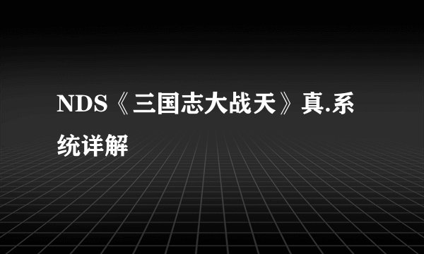 NDS《三国志大战天》真.系统详解