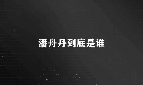 潘舟丹到底是谁