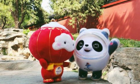 市民借冰墩墩打卡故宫雪景，冰墩墩为何如此备受欢迎？