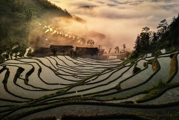 紫鹊界是属于哪个地方