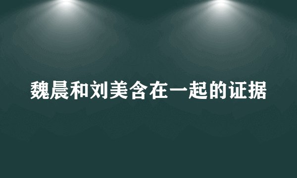 魏晨和刘美含在一起的证据