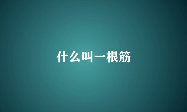 什么叫一根筋