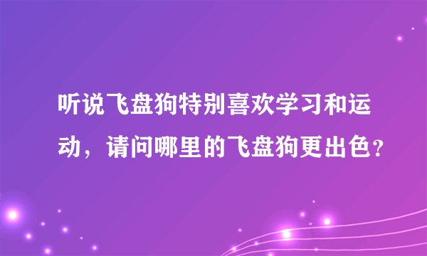 听说飞盘狗特别喜欢学习和运动，请问哪里的飞盘狗更出色？
