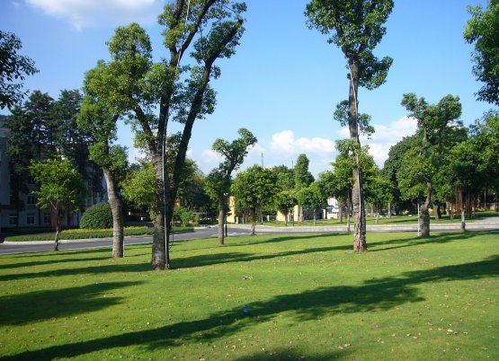 人类环境宣言的主要内容