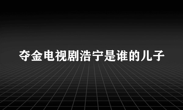 夺金电视剧浩宁是谁的儿子