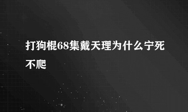 打狗棍68集戴天理为什么宁死不爬