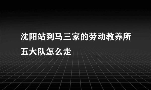 沈阳站到马三家的劳动教养所五大队怎么走