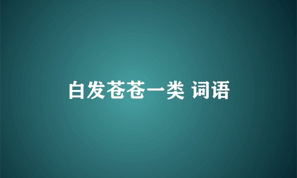白发苍苍一类 词语