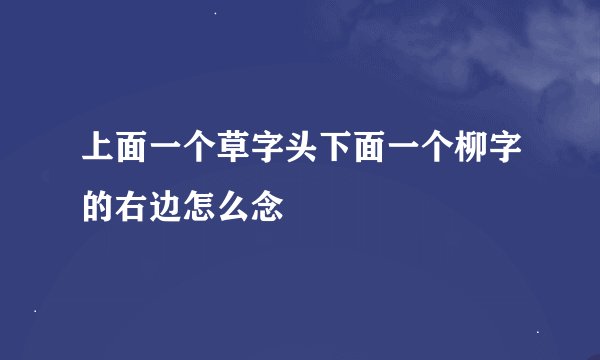 上面一个草字头下面一个柳字的右边怎么念