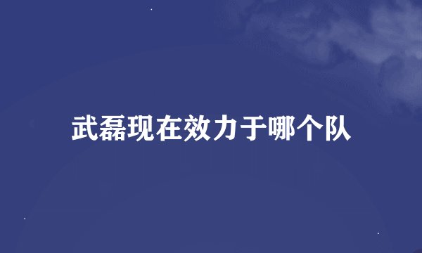 武磊现在效力于哪个队