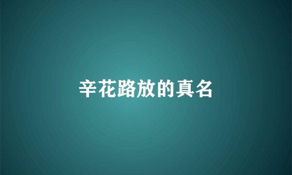 辛花路放的真名