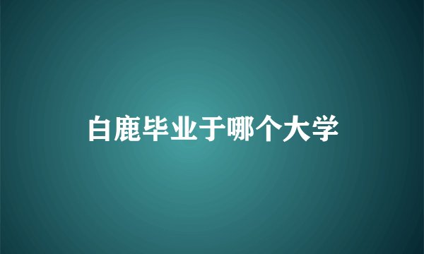 白鹿毕业于哪个大学