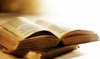 花开花落自有时的下一句是什么 花开花落自有时的下一句解释