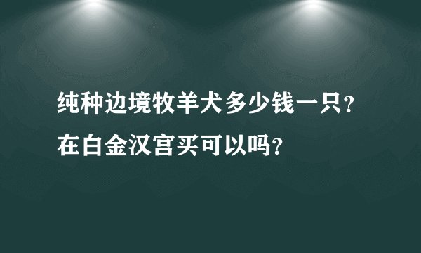 纯种边境牧羊犬多少钱一只?在白金汉宫买可以吗?