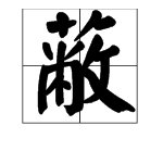 隐蔽的蔽可以组什么词