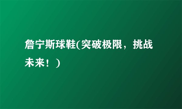 詹宁斯球鞋(突破极限，挑战未来！)