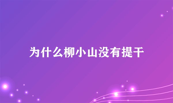 为什么柳小山没有提干