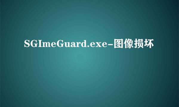 SGImeGuard.exe-图像损坏
