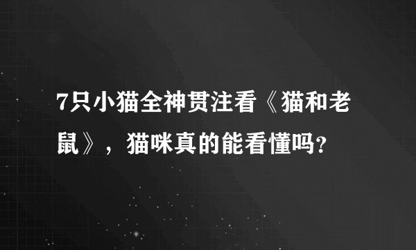 7只小猫全神贯注看《猫和老鼠》，猫咪真的能看懂吗？