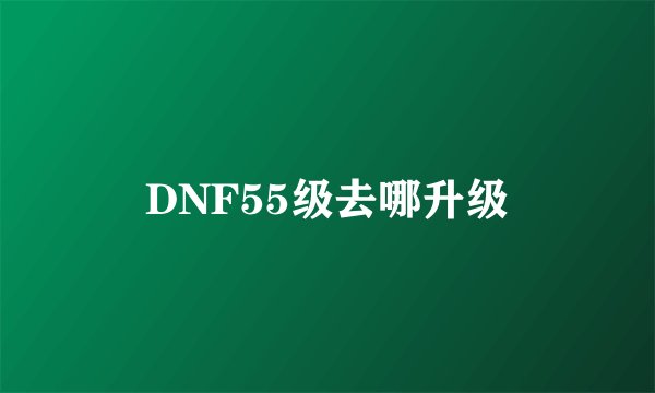 DNF55级去哪升级