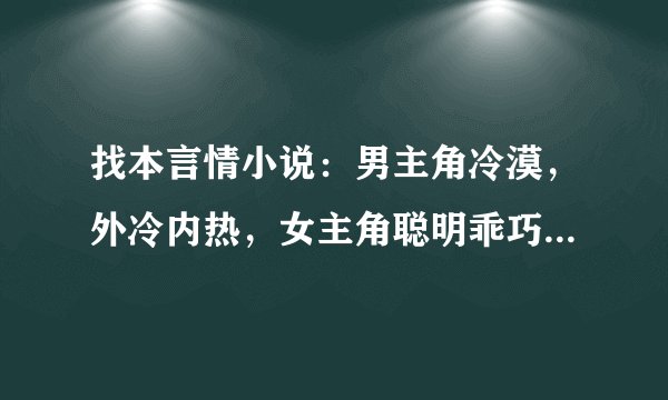 找本言情小说：男主角冷漠，外冷内热，女主角聪明乖巧，最后2人在一起的小说