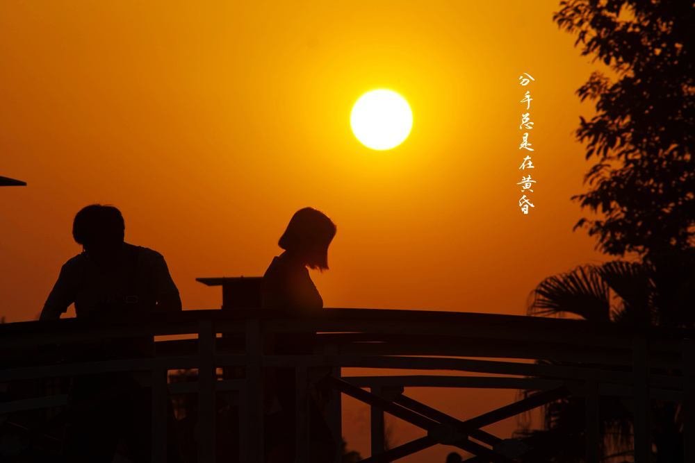 有的人为什么往往因为过于了解对方而分开了?
