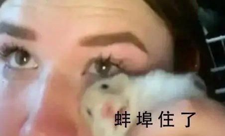 蚌住了是什么意思