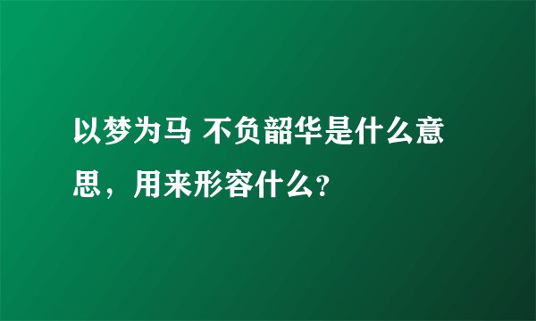 以梦为马 不负韶华是什么意思，用来形容什么？