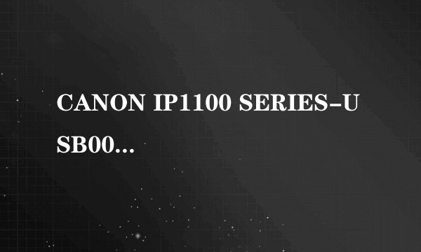 CANON IP1100 SERIES-USB001 按打印后出现维修错误,不能打印是怎么回事,请帮忙!谢