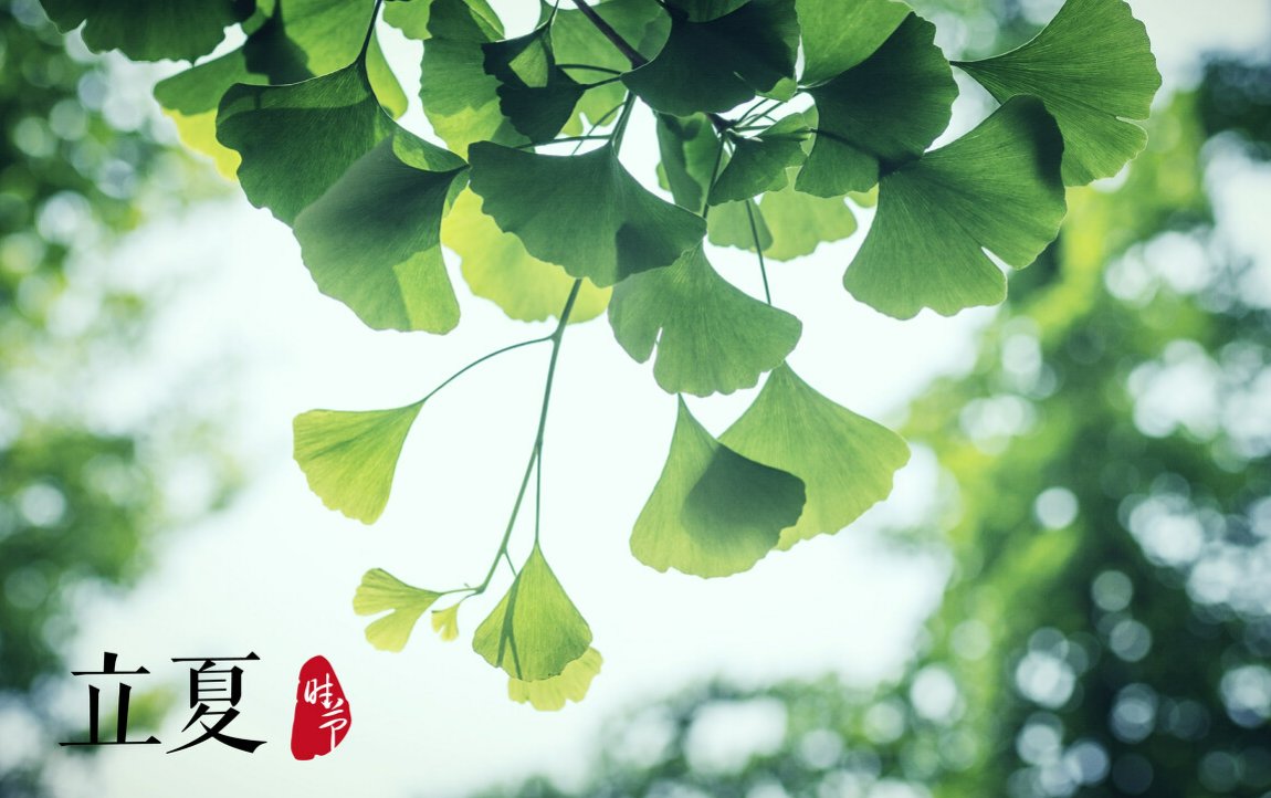 立夏的寓意和象征