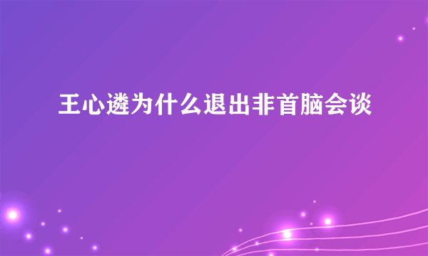 王心遴为什么退出非首脑会谈
