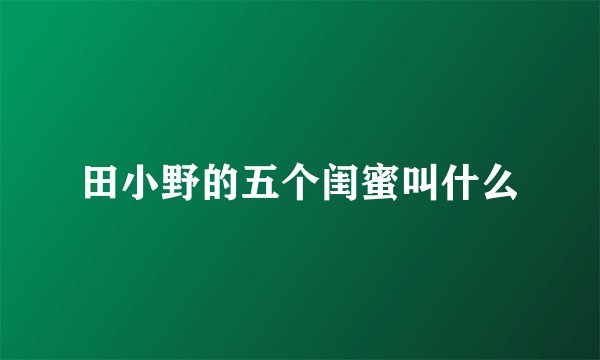 田小野的五个闺蜜叫什么