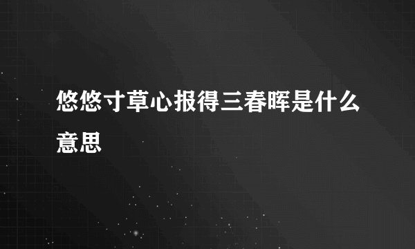 悠悠寸草心报得三春晖是什么意思