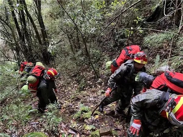 哀牢山4名地质人员遇难者，身份信息披露，他们到底有何背景？