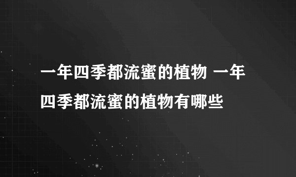 一年四季都流蜜的植物 一年四季都流蜜的植物有哪些