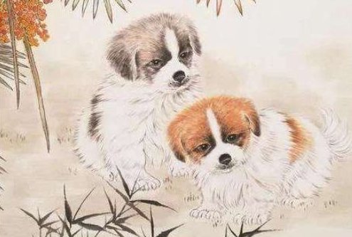 夜不闭户打一生肖