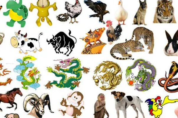 五里云雾打一生肖是什么