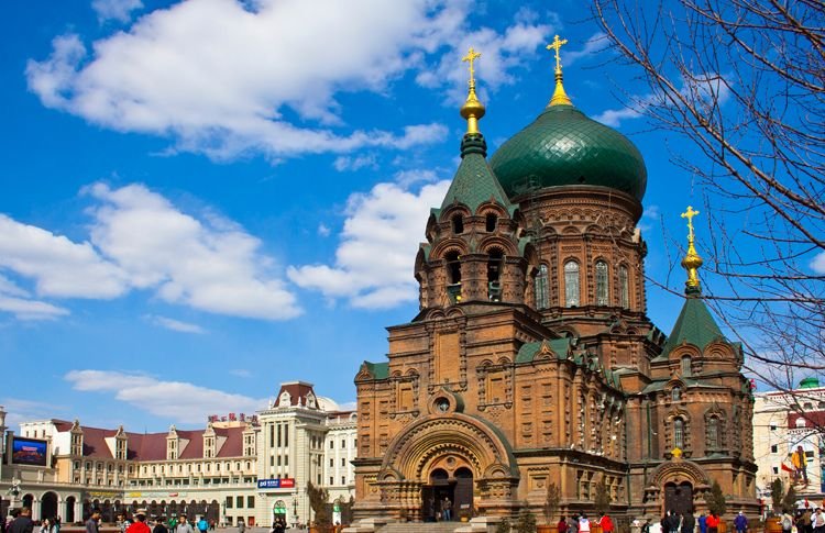 德州到哈尔滨火车时刻表查询