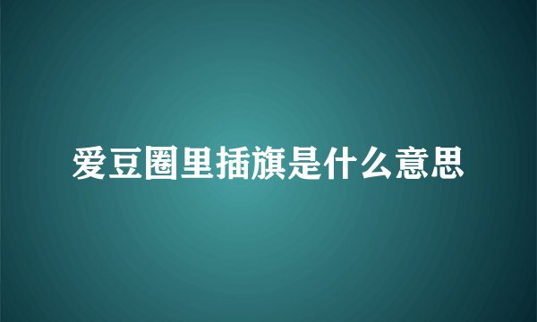 爱豆圈里插旗是什么意思