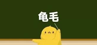龟毛是什么意思?