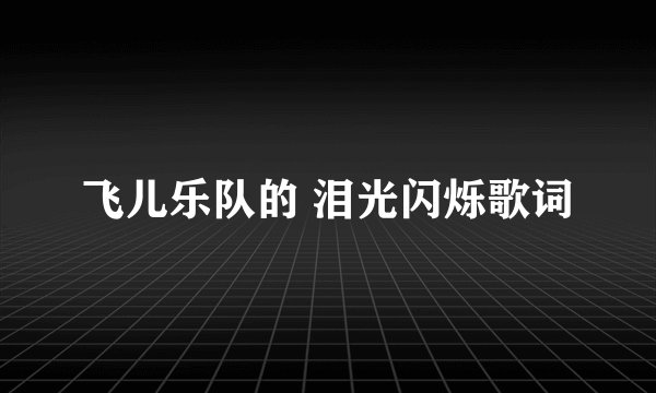 飞儿乐队的 泪光闪烁歌词