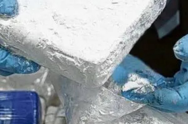 可卡英是从什么植物中提炼而成的答案