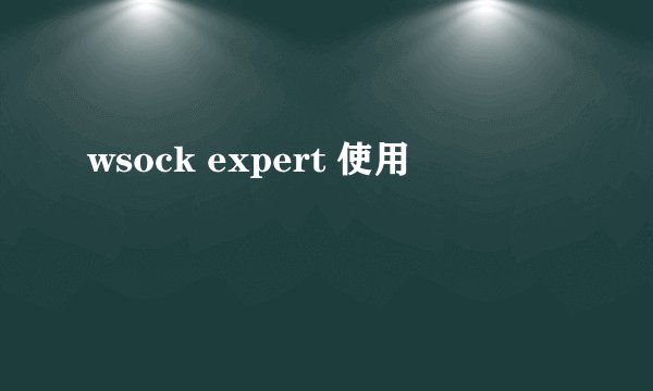 wsock expert 使用