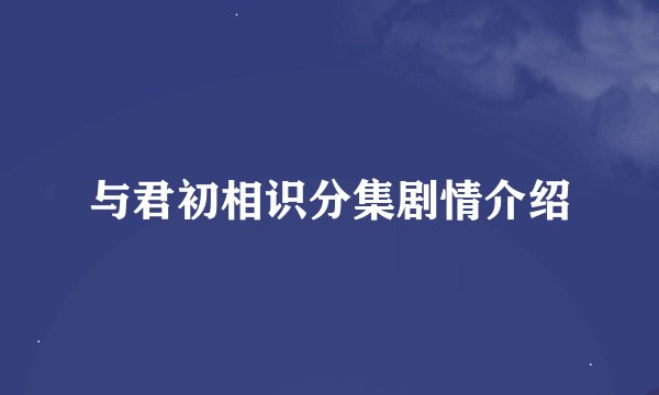 与君初相识分集剧情介绍