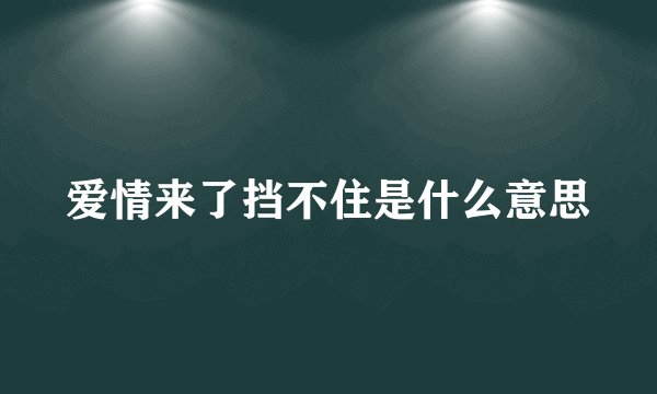 爱情来了挡不住是什么意思