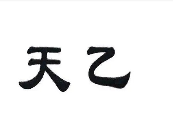 天乙是什么意思啊