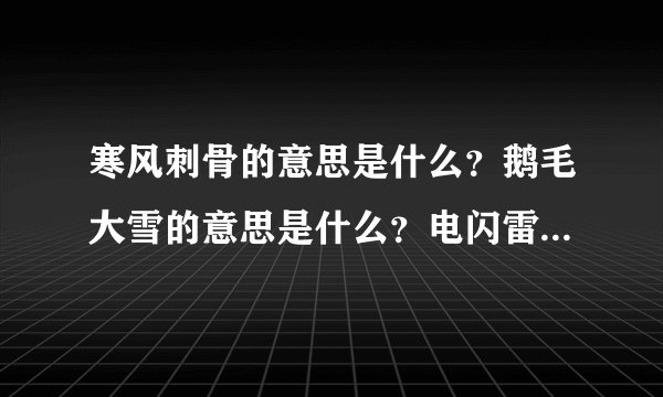 寒风刺骨的意思是什么？鹅毛大雪的意思是什么？电闪雷鸣的意思是什么？