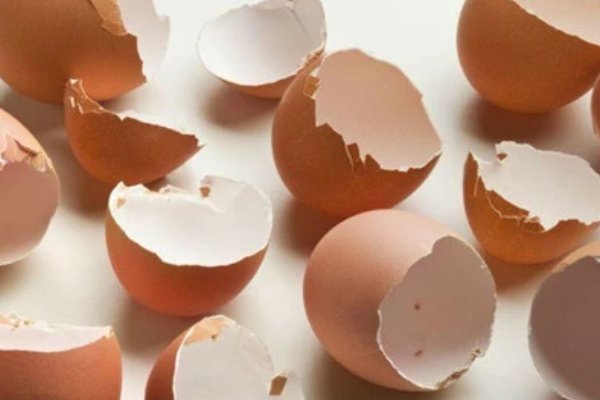 风吹鸡蛋壳是什么意思