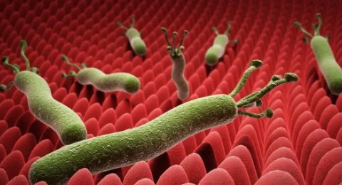 广东1家4人查出幽门螺旋杆菌孩子疼得打滚，得了幽门螺杆菌该怎么办？